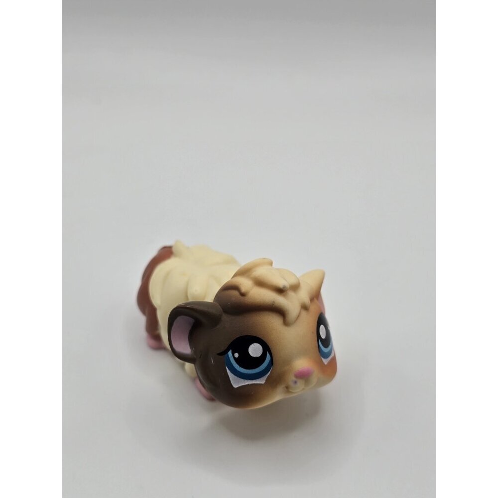 Littlest Pet Shop LPS Guinea Pig #1418 Hasbro Authentic
